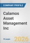 Calamos Asset Management Inc. Fundamental Company Report Including Financial, SWOT, Competitors and Industry Analysis - Product Thumbnail Image