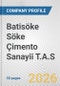 Batisöke Söke Çimento Sanayii T.A.S. Fundamental Company Report Including Financial, SWOT, Competitors and Industry Analysis - Product Thumbnail Image