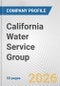 California Water Service Group Fundamental Company Report Including Financial, SWOT, Competitors and Industry Analysis - Product Thumbnail Image
