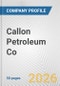 Callon Petroleum Co. Fundamental Company Report Including Financial, SWOT, Competitors and Industry Analysis - Product Thumbnail Image