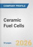 Ceramic Fuel Cells Fundamental Company Report Including Financial, SWOT, Competitors and Industry Analysis- Product Image