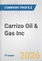 Carrizo Oil & Gas Inc. Fundamental Company Report Including Financial, SWOT, Competitors and Industry Analysis - Product Thumbnail Image
