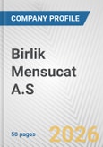 Birlik Mensucat A.S. Fundamental Company Report Including Financial, SWOT, Competitors and Industry Analysis- Product Image