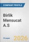 Birlik Mensucat A.S. Fundamental Company Report Including Financial, SWOT, Competitors and Industry Analysis - Product Thumbnail Image