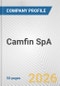 Camfin SpA Fundamental Company Report Including Financial, SWOT, Competitors and Industry Analysis - Product Thumbnail Image