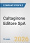 Caltagirone Editore SpA Fundamental Company Report Including Financial, SWOT, Competitors and Industry Analysis - Product Thumbnail Image
