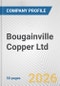 Bougainville Copper Ltd. Fundamental Company Report Including Financial, SWOT, Competitors and Industry Analysis - Product Thumbnail Image