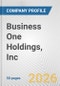 Business One Holdings, Inc. Fundamental Company Report Including Financial, SWOT, Competitors and Industry Analysis - Product Thumbnail Image