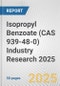 Isopropyl Benzoate (CAS 939-48-0) Industry Research 2025: Global and Regional Market Trends 2019-2024 and Forecast to 2029 - Product Image