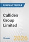 Calliden Group Limited Fundamental Company Report Including Financial, SWOT, Competitors and Industry Analysis - Product Thumbnail Image