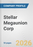 Stellar Megaunion Corp. Fundamental Company Report Including Financial, SWOT, Competitors and Industry Analysis- Product Image