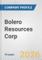 Bolero Resources Corp. Fundamental Company Report Including Financial, SWOT, Competitors and Industry Analysis - Product Thumbnail Image