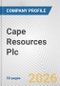 Cape Resources Plc Fundamental Company Report Including Financial, SWOT, Competitors and Industry Analysis - Product Thumbnail Image