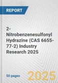 2-Nitrobenzenesulfonyl Hydrazine (CAS 6655-77-2) Industry Research 2025: Global and Regional Market Trends 2019-2024 and Forecast to 2029- Product Image
