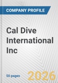 Cal Dive International Inc Fundamental Company Report Including Financial, SWOT, Competitors and Industry Analysis- Product Image