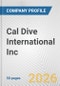 Cal Dive International Inc Fundamental Company Report Including Financial, SWOT, Competitors and Industry Analysis - Product Thumbnail Image