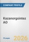 Kazanorgsintez AO Fundamental Company Report Including Financial, SWOT, Competitors and Industry Analysis - Product Thumbnail Image