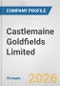 Castlemaine Goldfields Limited Fundamental Company Report Including Financial, SWOT, Competitors and Industry Analysis - Product Thumbnail Image
