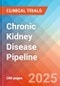 Chronic Kidney Disease - Pipeline Insight, 2024 - Product Thumbnail Image