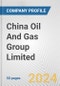 China Oil And Gas Group Limited Fundamental Company Report Including Financial, SWOT, Competitors and Industry Analysis - Product Thumbnail Image