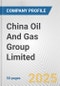 China Oil And Gas Group Limited Fundamental Company Report Including Financial, SWOT, Competitors and Industry Analysis - Product Thumbnail Image