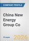 China New Energy Group Co. Fundamental Company Report Including Financial, SWOT, Competitors and Industry Analysis - Product Thumbnail Image