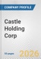 Castle Holding Corp. Fundamental Company Report Including Financial, SWOT, Competitors and Industry Analysis - Product Thumbnail Image