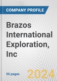 Brazos International Exploration, Inc. Fundamental Company Report Including Financial, SWOT, Competitors and Industry Analysis- Product Image