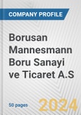 Borusan Mannesmann Boru Sanayi ve Ticaret A.S. Fundamental Company Report Including Financial, SWOT, Competitors and Industry Analysis- Product Image