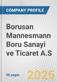 Borusan Mannesmann Boru Sanayi ve Ticaret A.S. Fundamental Company Report Including Financial, SWOT, Competitors and Industry Analysis- Product Image