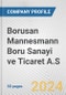 Borusan Mannesmann Boru Sanayi ve Ticaret A.S. Fundamental Company Report Including Financial, SWOT, Competitors and Industry Analysis - Product Thumbnail Image