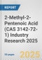 2-Methyl-2-Pentenoic Acid (CAS 3142-72-1) Industry Research 2025: Global and Regional Market Trends 2019-2024 and Forecast to 2029 - Product Thumbnail Image