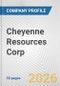 Cheyenne Resources Corp. Fundamental Company Report Including Financial, SWOT, Competitors and Industry Analysis - Product Thumbnail Image