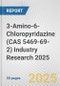 3-Amino-6-Chloropyridazine (CAS 5469-69-2) Industry Research 2025: Global and Regional Market Trends 2019-2024 and Forecast to 2029 - Product Image