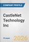 CastleNet Technology Inc. Fundamental Company Report Including Financial, SWOT, Competitors and Industry Analysis - Product Thumbnail Image