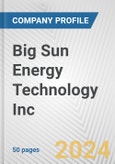 Big Sun Energy Technology Inc Fundamental Company Report Including Financial, SWOT, Competitors and Industry Analysis- Product Image