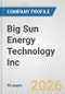 Big Sun Energy Technology Inc Fundamental Company Report Including Financial, SWOT, Competitors and Industry Analysis - Product Thumbnail Image