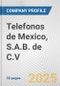 Telefonos de Mexico, S.A.B. de C.V. Fundamental Company Report Including Financial, SWOT, Competitors and Industry Analysis - Product Thumbnail Image