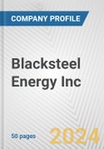 Blacksteel Energy Inc. Fundamental Company Report Including Financial, SWOT, Competitors and Industry Analysis- Product Image