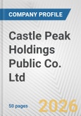 Castle Peak Holdings Public Co. Ltd. Fundamental Company Report Including Financial, SWOT, Competitors and Industry Analysis- Product Image