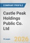 Castle Peak Holdings Public Co. Ltd. Fundamental Company Report Including Financial, SWOT, Competitors and Industry Analysis - Product Thumbnail Image