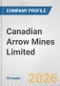 Canadian Arrow Mines Limited Fundamental Company Report Including Financial, SWOT, Competitors and Industry Analysis - Product Thumbnail Image