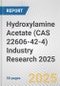 Hydroxylamine Acetate (CAS 22606-42-4) Industry Research 2025: Global and Regional Market Trends 2019-2024 and Forecast to 2029 - Product Thumbnail Image