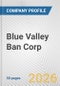 Blue Valley Ban Corp. Fundamental Company Report Including Financial, SWOT, Competitors and Industry Analysis - Product Thumbnail Image