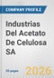 Industrias Del Acetato De Celulosa SA Fundamental Company Report Including Financial, SWOT, Competitors and Industry Analysis - Product Thumbnail Image