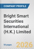 Bright Smart Securities International (H.K.) Limited Fundamental Company Report Including Financial, SWOT, Competitors and Industry Analysis- Product Image