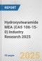 Hydroxystearamide MEA (CAS 106-15-0) Industry Research 2025: Global and Regional Market Trends 2019-2024 and Forecast to 2029 - Product Thumbnail Image