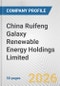China Ruifeng Galaxy Renewable Energy Holdings Limited Fundamental Company Report Including Financial, SWOT, Competitors and Industry Analysis - Product Thumbnail Image
