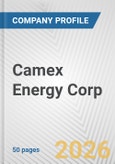Camex Energy Corp. Fundamental Company Report Including Financial, SWOT, Competitors and Industry Analysis- Product Image