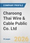 Charoong Thai Wire & Cable Public Co. Ltd. Fundamental Company Report Including Financial, SWOT, Competitors and Industry Analysis - Product Thumbnail Image